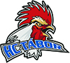 HC Tábor