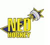 NED Hockey Nymburk